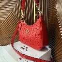 IMG_9718.webp