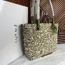 IMG_2263.webp
